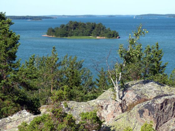 En liten skogbevuxen ö i Ålands skärgård, omgiven av träd och klippor i förgrunden.