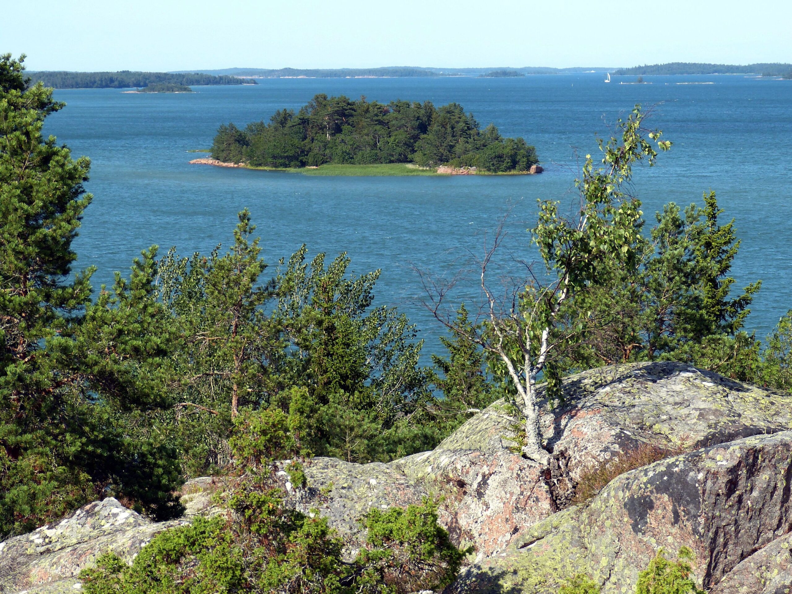 En liten skogbevuxen ö i Ålands skärgård, omgiven av träd och klippor i förgrunden.